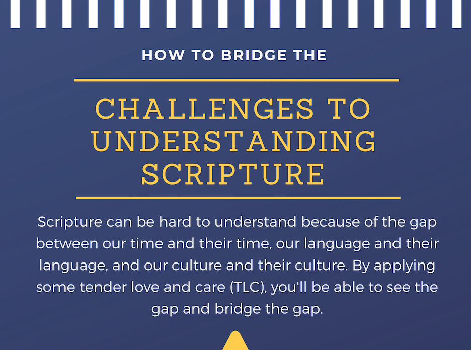 Exegesis: Studying the Bible Series (Infographics)