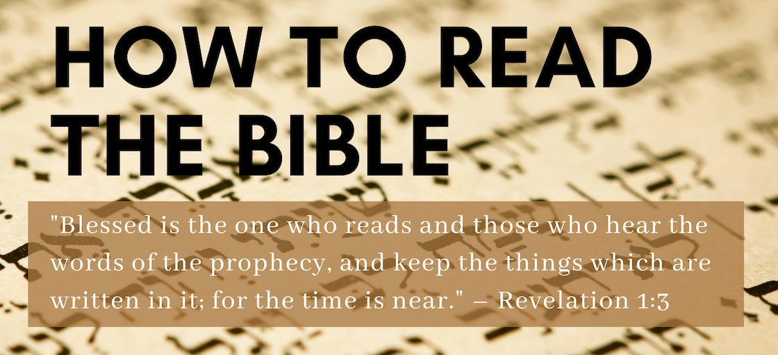 Exegesis: Studying the Bible Series (Infographics)
