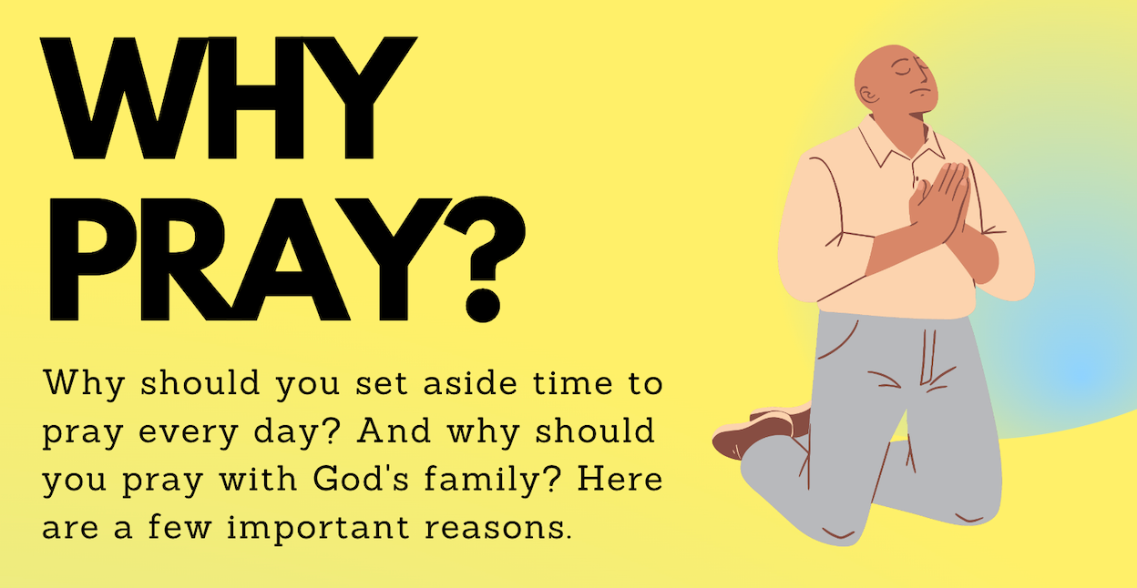 The WHY Bundle (Infographics)