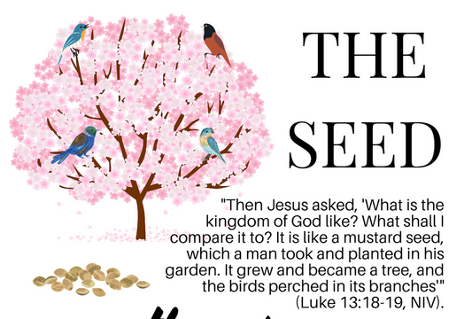The Seed (Infographic)